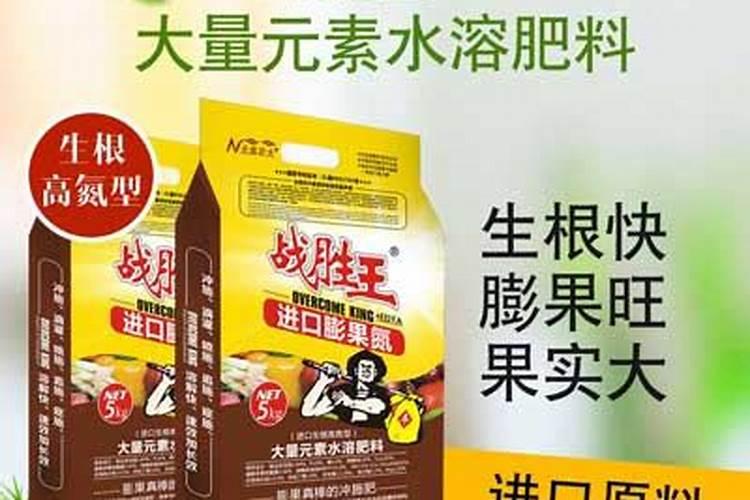 白术种子繁殖栽培,有什么技术吗？