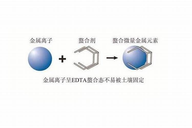 大量元素水溶肥好吗？大量元素水溶肥的特点