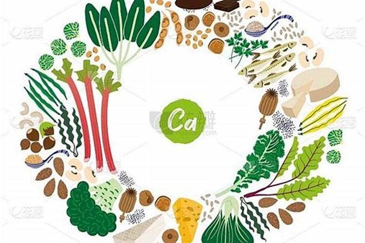 人的生命由哪些因素构成