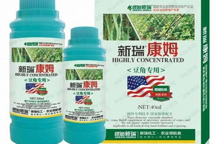 榆树浇水时间和正确方法