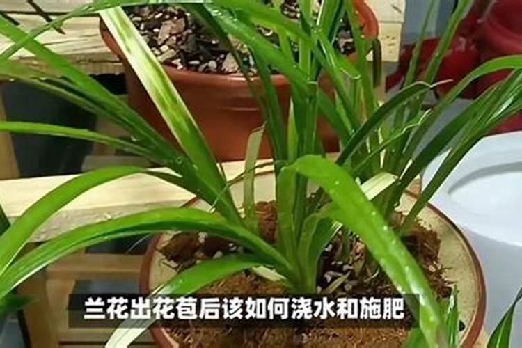 有磷矿上市公司哪家最有投资价值