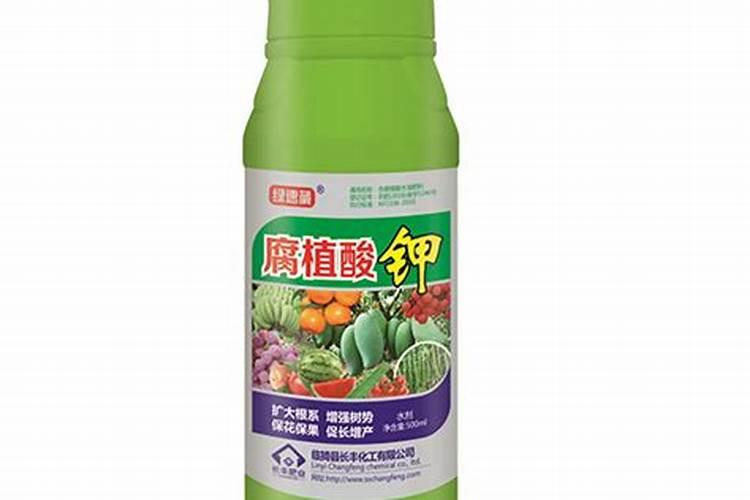 绣球植物缺铁黄化(绣球花缺铁的表现有哪些)