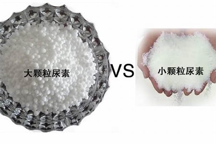 三角梅秋季生长缓慢怎么养护