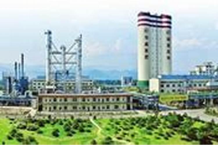 苄氨赤霉酸的作用和使用方法