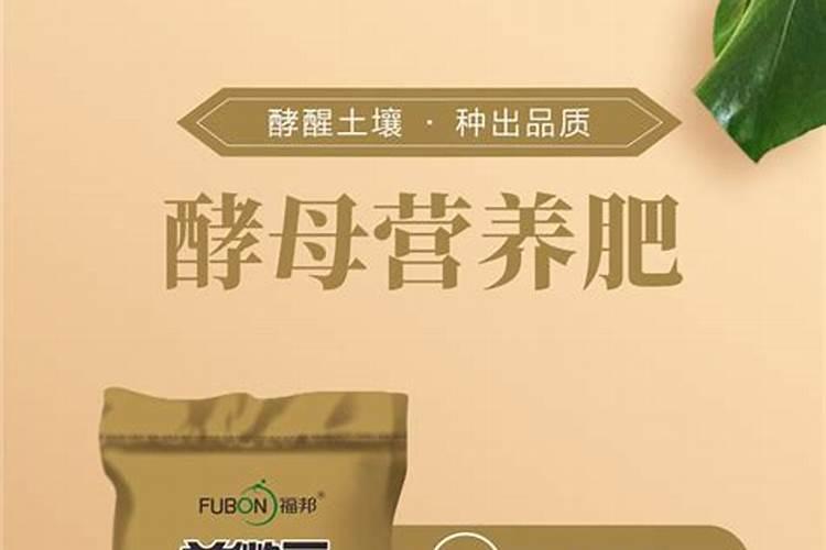 柑橘全年施肥时间表
