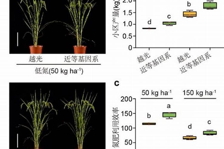 中国最好的硅肥生产企业有哪些？推荐几家,我想代理硅肥