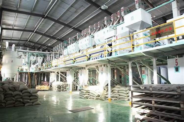 硅肥在水稻的作用及使用方法