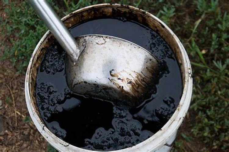 豆角冲什么水溶肥最好