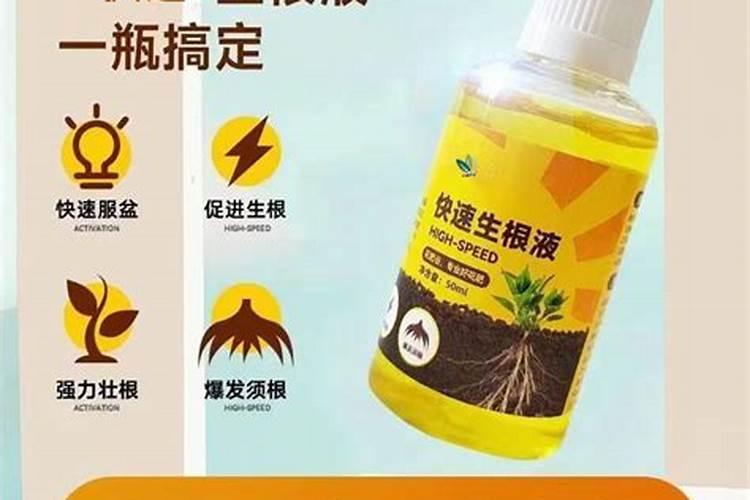 生根剂水溶肥叶面喷施效果会好吗