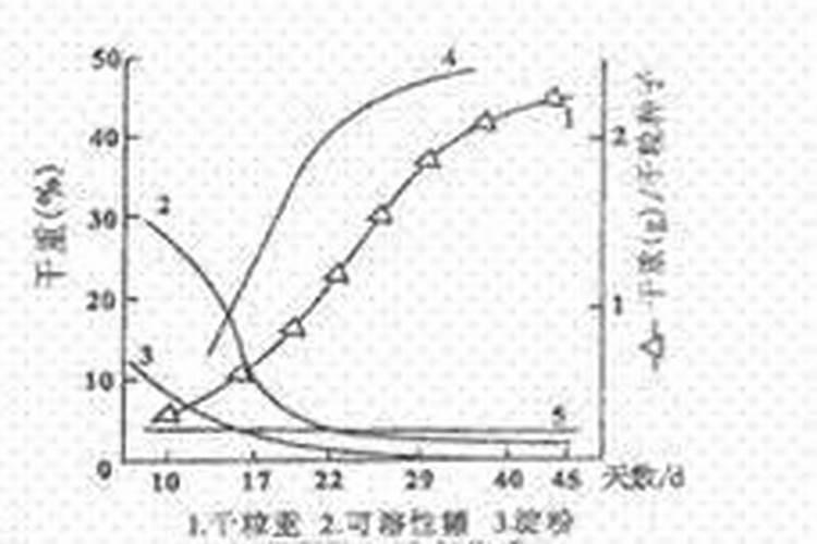 氮肥在植物上的作用和功效