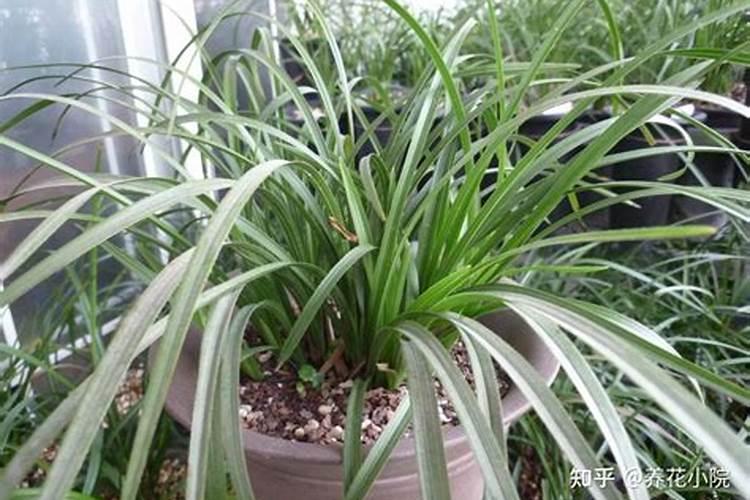 陶氏美乐施水溶肥哪里产