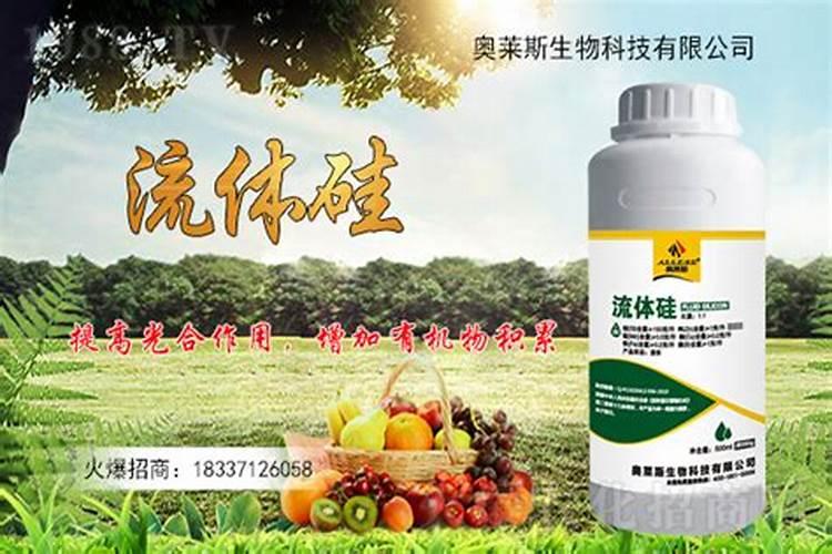 什么植物适合在沙质土里生长