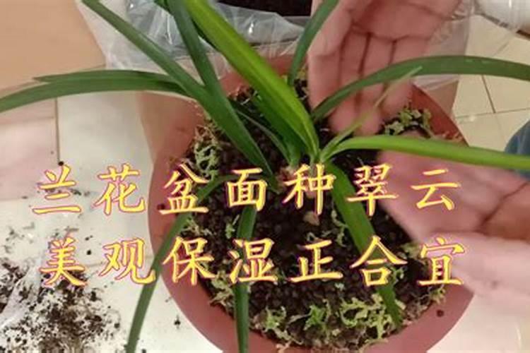 莲子能用矿源黄腐酸钾施肥吗