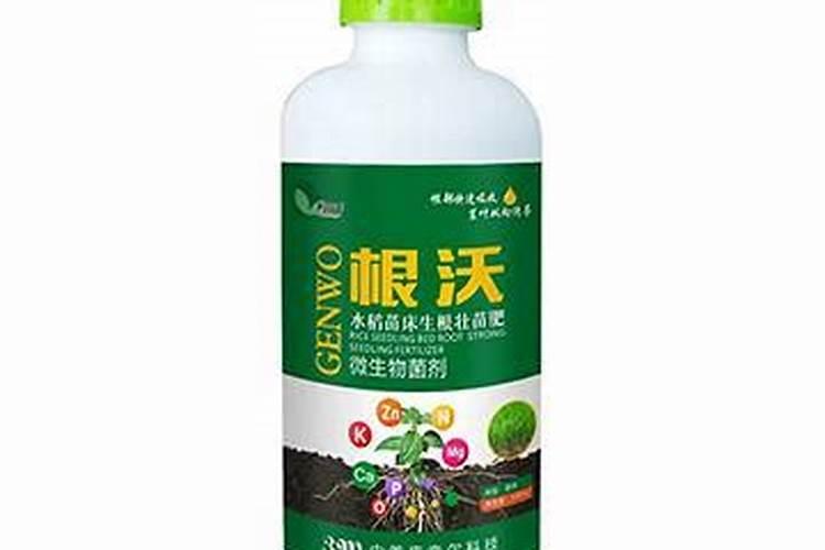 广州一家三口生活一年要花多少钱