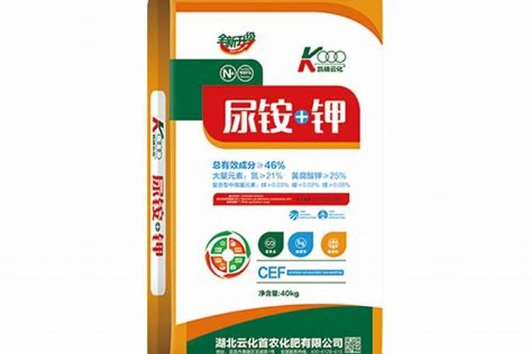 尿水可以浇哪些蔬菜