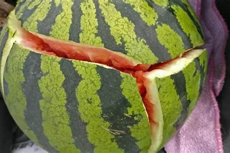 土豆怎么种植高产