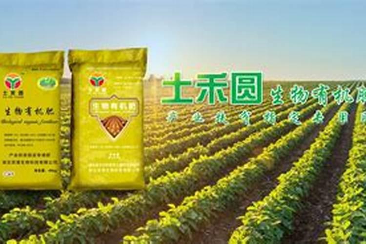 永春碳基生态肥,为什么会如此长畅销？