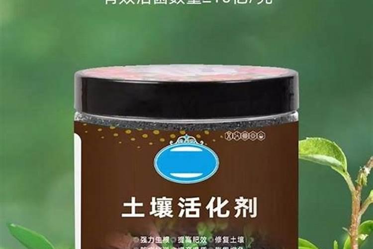 改善土壤板结的肥料