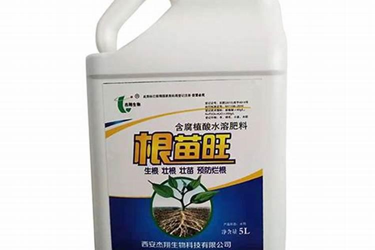 根苗旺。水溶肥能灌茄子跟吗