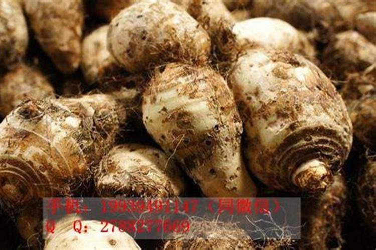 芋头用什么肥料最好