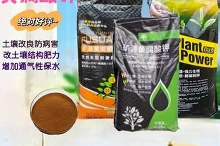 玉米滴灌每亩成本多少钱(玉米地滴灌造价)