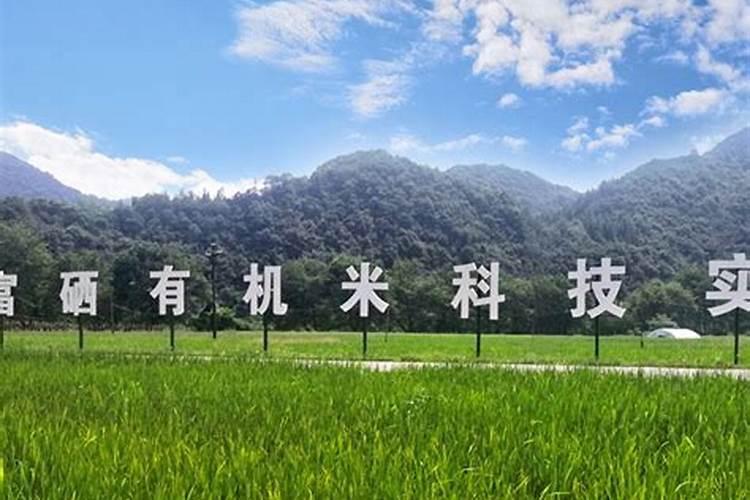 平顶山是缺硒的地方吗