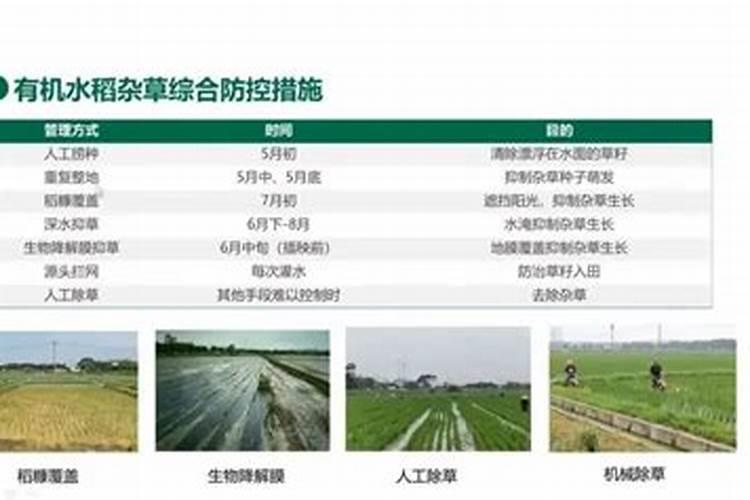 镁质土的名称有哪些