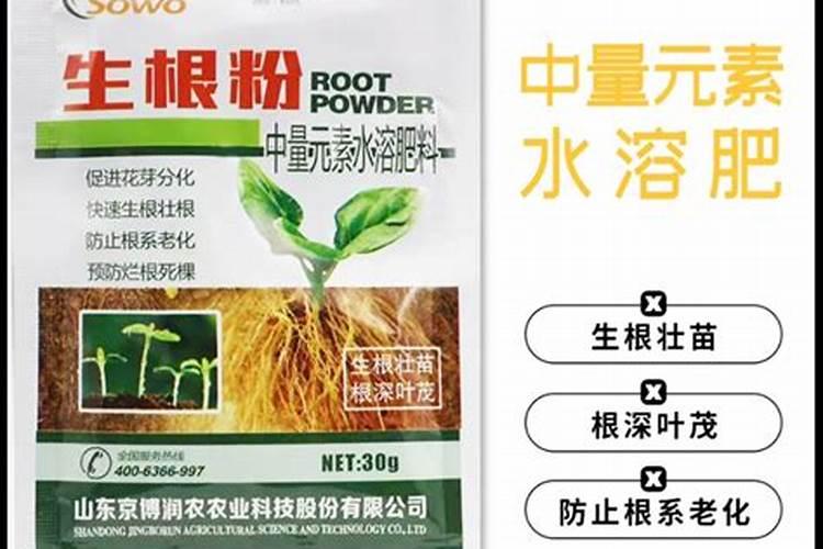 桃树如何使用芸苔素