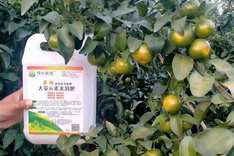 葡萄什么时间追肥？水溶肥怎么用