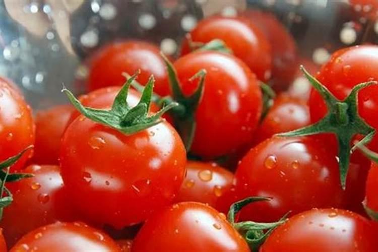 苹果树施肥的方法