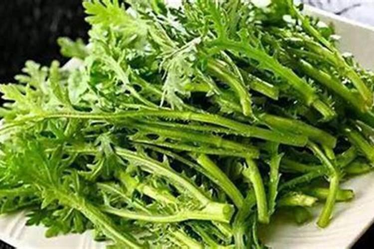 高钾肥有哪些种类