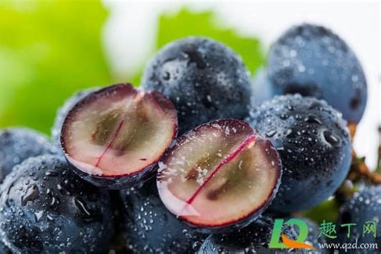 葡萄皮可以做肥料吗