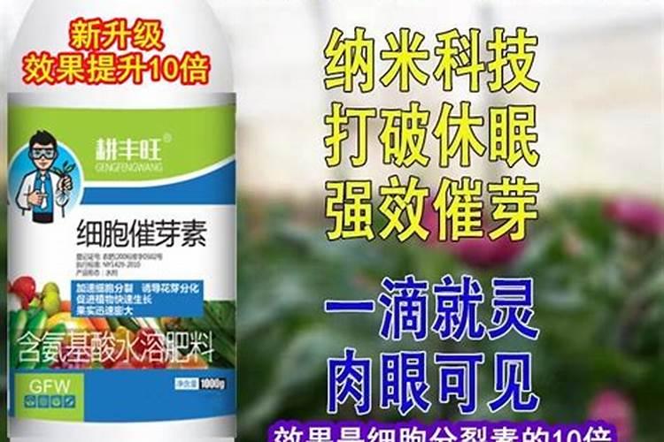 用豆腐渣腐熟发酵做肥料需要多长时间
