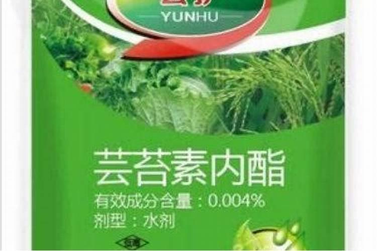 芸苔素能解药害吗