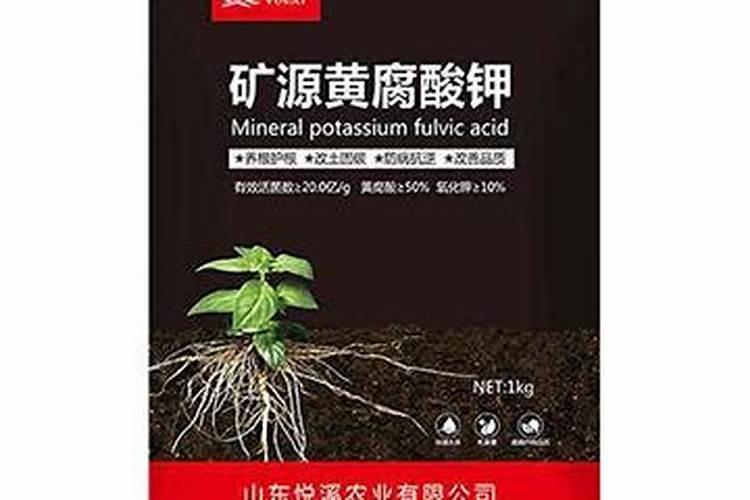 土豆出苗后怎样管理