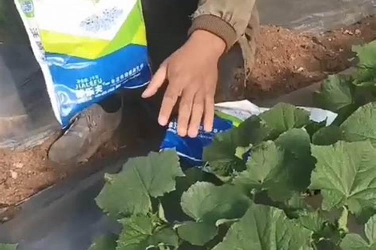 购买水溶肥产品,你需要了解的几个注意事项