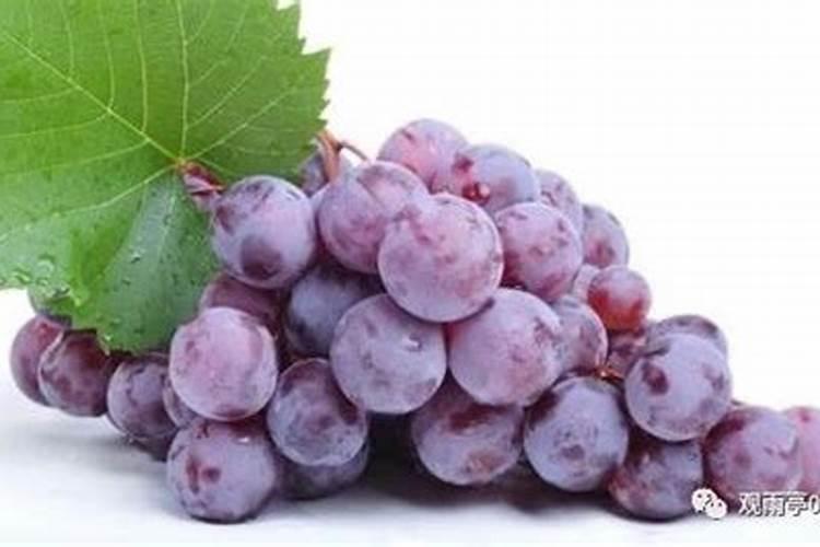 叶面施硼肥后4小时后下雨有影响吗？