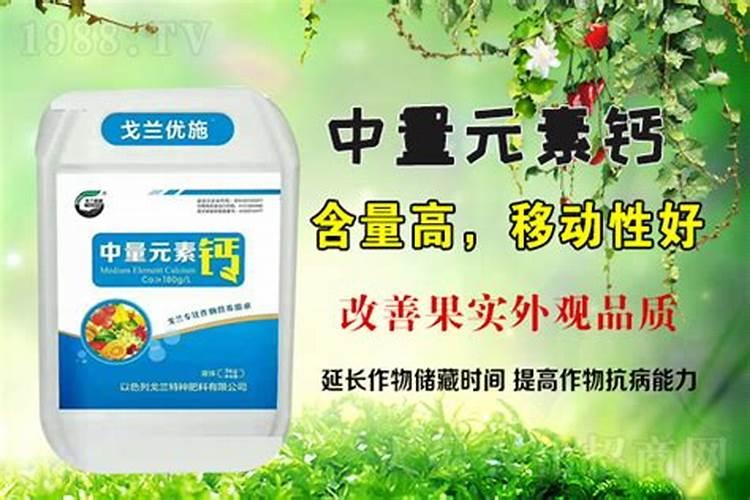 在果树上如何施用钙肥