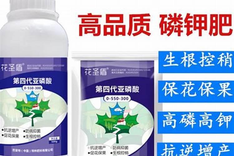 蔬菜作物缺钾有哪些症状？怎样防治？