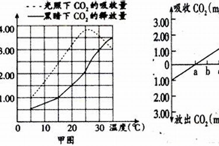 温度高了蔬菜下肥了死苗怎么回事