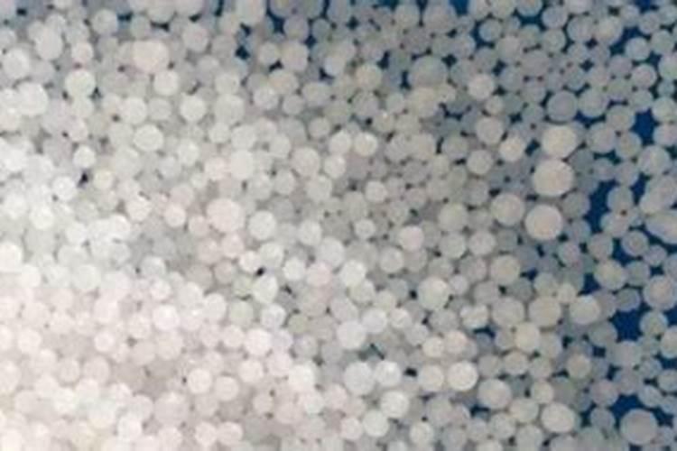 青菜上附着的那层白粉是怎么回事