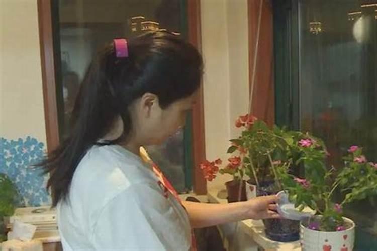 大头菜要怎么种植 大头菜养护注意事项总结