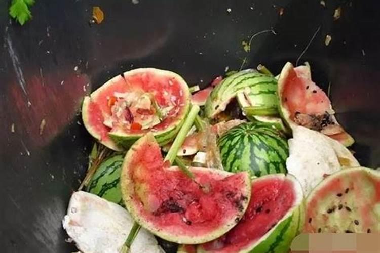 种清菜用什么肥料