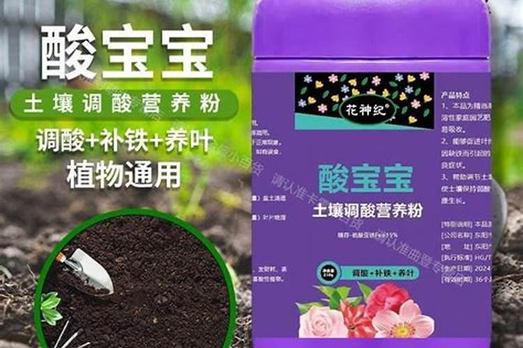 大豆用什么肥料最旺盛