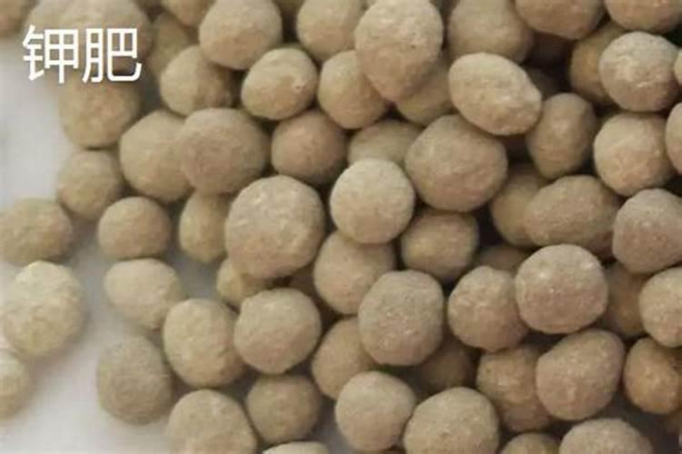 N P K肥分别有什么用？