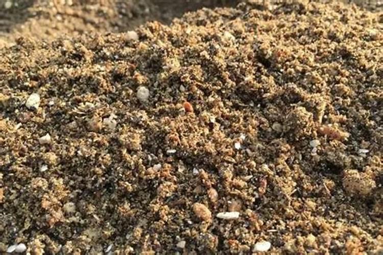 绿萝用什么肥料最好