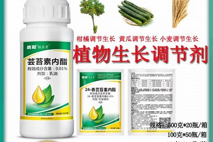 花叶喷什么又绿又亮