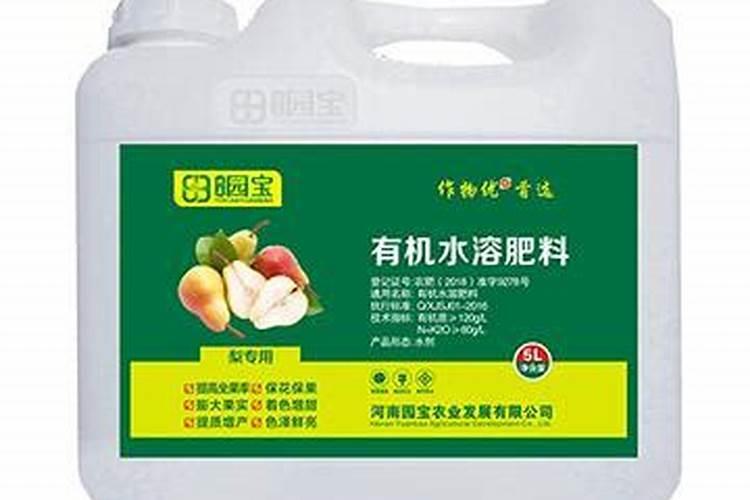 水晶梨苗价格多少钱一棵