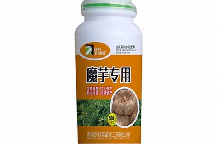 魔芋出土后怎么施肥和预防病虫害？