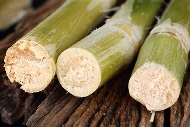 菜苗用什么肥提苗快